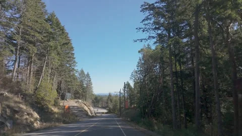 Paved road winds through a dense forest, with tall trees lining both sides Stock Footage 288549850