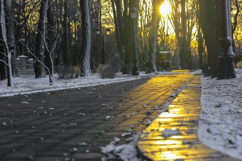 A paved stone path in the park among the bare trees. A natural winter landscape. Stock-Fotos