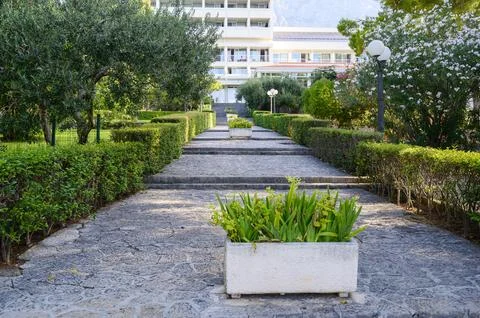 Paved stone pathway leading through lush green hedges and mature trees toward a Stock Photos
