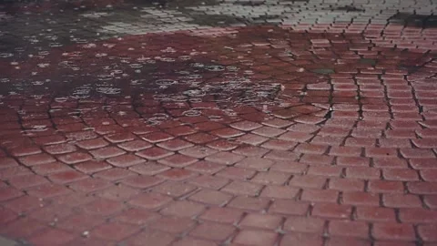 Paved stone sidewalk under rain. Selective focus on the surface and raindrops Stock Footage 220879629