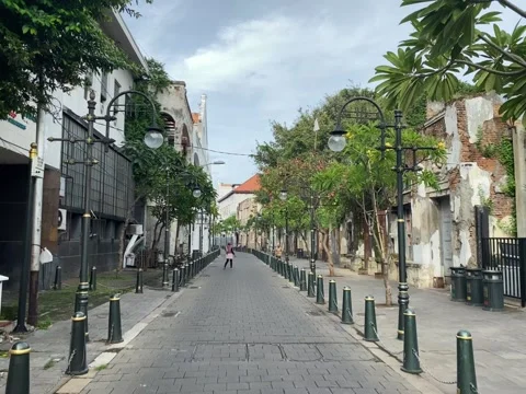 Paved street lined with trees and bollards in the right and left side. Stock Footage 339520708