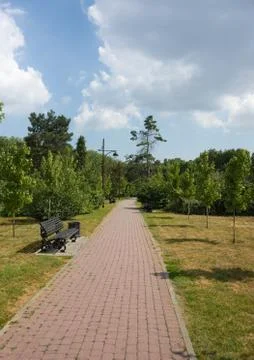 Paved tiled path with a bench in the city Park. Stock Photos