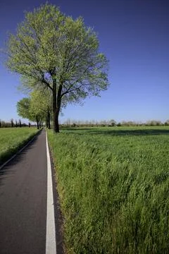 Paved trail in the countryside Stock Photos