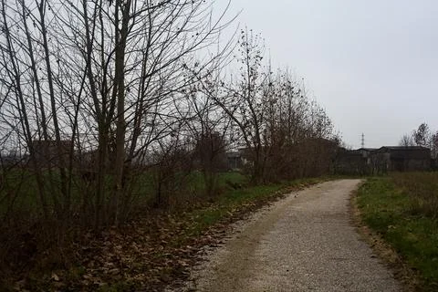Paved trail next to a field and a row of bare trees on a cloudy day in the .. Stock Photos