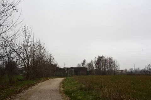 Paved trail next to a field and a row of bare trees on a cloudy day in the .. Stock Photos