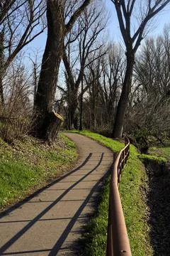 Paved trail next to a field that leads to the entrance of a grove on a sunn.. Stock Photos
