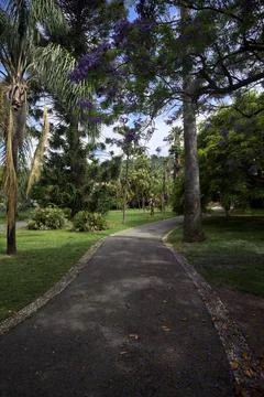 Paved trail in a park Stock-Fotos