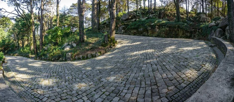 Paved u-shape curve in the forest Stock-Fotos