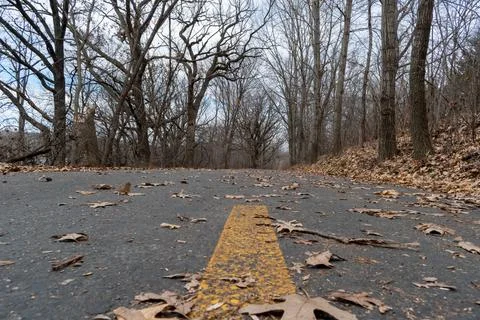 A paved walking path at a local Minnesota park surrounded by grass and trees. Stock Photos