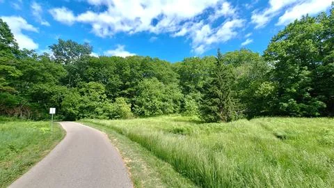 A paved walking path winds through a green park Foto stock