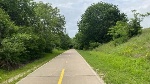 Paved Walking Trail Through Lush Green Forest Stock Photos