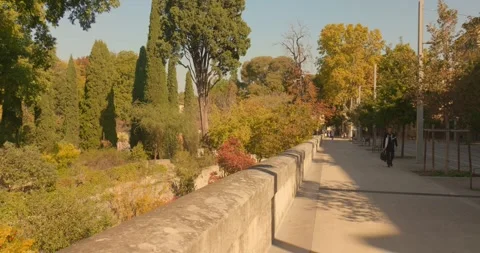 Paved Walkway Alongside Stone Wall Overlooking Lush Garden With Cypress Trees Видео 331194753