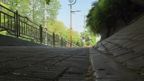 Paved Walkway Beneath Concrete Overpass in Seoul Park Stock Footage 338301262