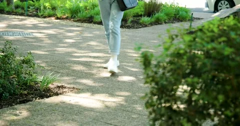 Paved walkway holding dappled light with bush at right as walkers are entering Stock Footage 341932552