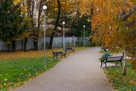 A paved walkway winds through a park adorned with vibrant autumn foliage an.. Stock Photos