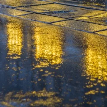 Pavement after the rain with light reflections Stock Photos