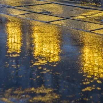 Pavement after the rain with light reflections Stock Photos