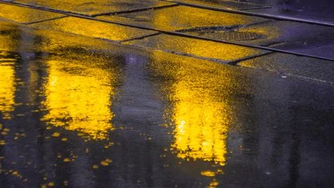 Pavement after the rain with light reflections Stock Photos