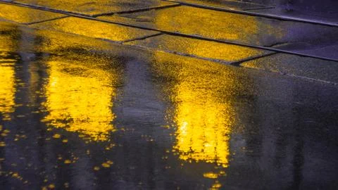 Pavement after the rain with light reflections Stock Photos