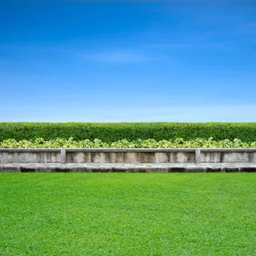Pavement and grass Foto stock