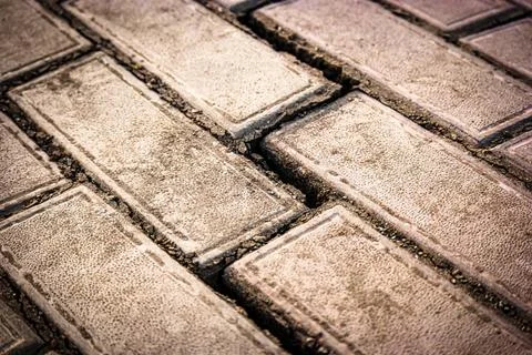 Pavement cracked. Pattern of concrete tiles damaged by some cause. Road ne... 写真素材