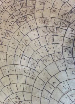 Pavement decorative tile surface pattern, Design and texture concept background 库存照片