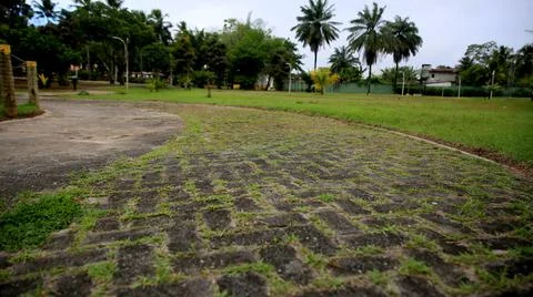 Pavement made of concrete bricks Stock Photos