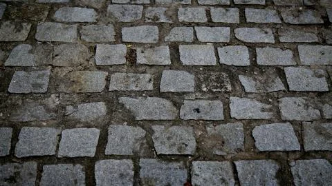 Pavement with parallelepiped in condominium Foto stock