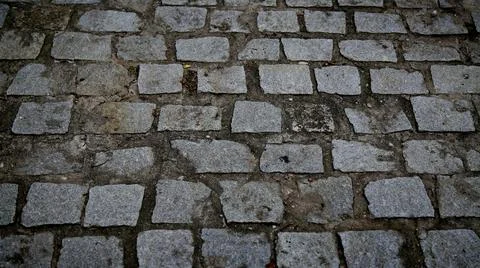 Pavement with parallelepiped in condominium Foto stock