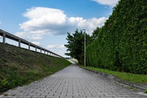 Pavement path around greenery in peri urban areas Foto stock