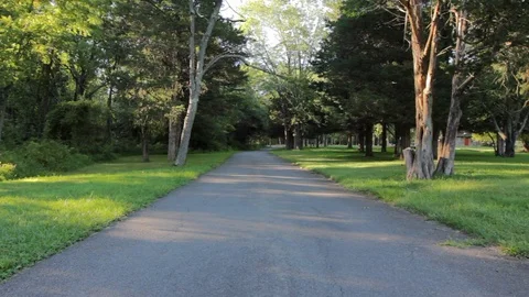 Pavement path through trees summer wide Stock Footage 91621965