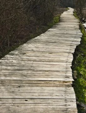 Pavement Stock Photos