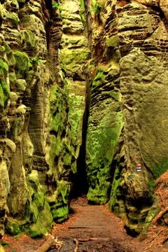 Pavement Stock Photos