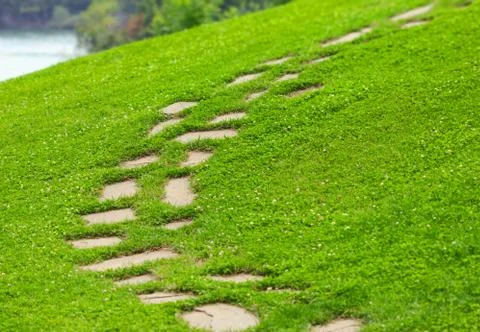 Pavement steps in the backyard Stock Photos