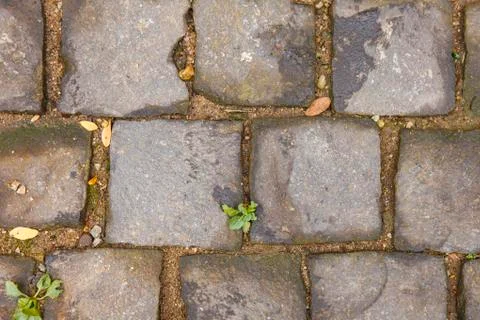 Pavement of stone background Stock Photos