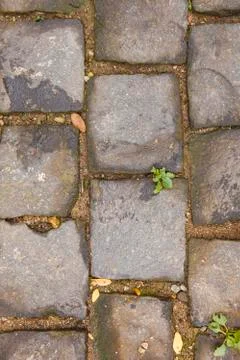 Pavement of stone background Stock Photos