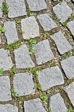 Pavement stone tile with grass germination Stock Photos