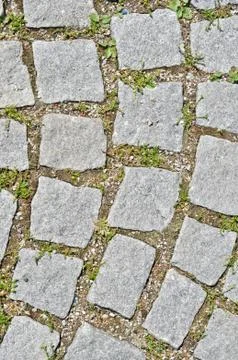 Pavement stone tile with grass germination Stock Photos