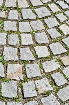 Pavement stone tile with grass germination Stock Photos