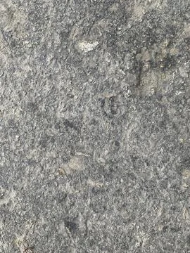 Pavement texture Photos