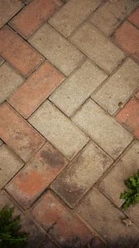 Pavement texture of rectangular bricks laid in a herringbone pattern. Stock Photos