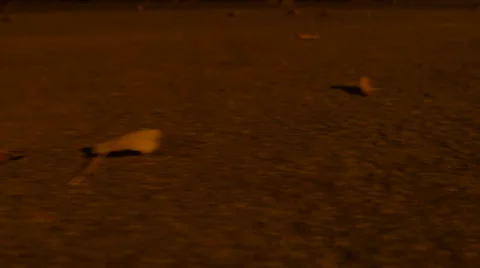 Pavement view, night hyperlapse. 4K UHD Video stock 68606587