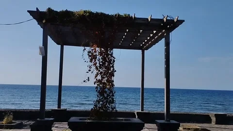 Pavilion on the beach Stock Footage 213224689