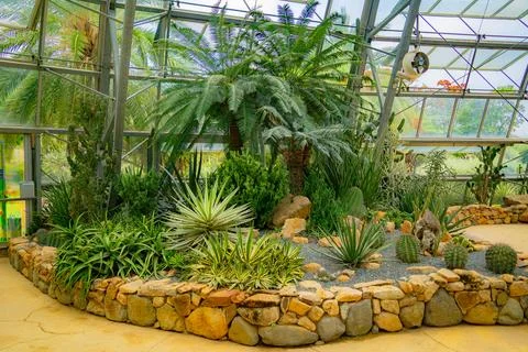 A pavilion with cacti. 库存照片