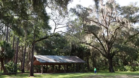 A Pavilion in Goethe State Forest, Levy County, Florida. 4K Stock Footage 138903462