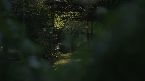 Pavilion in nature Stockbeeldmateriaal 90040737