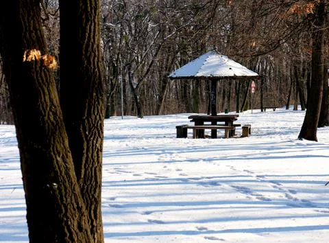 Pavilion in a park of the winter Stock Photos