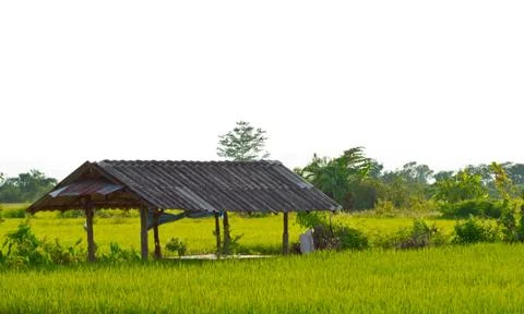 Pavilion Stock Photos