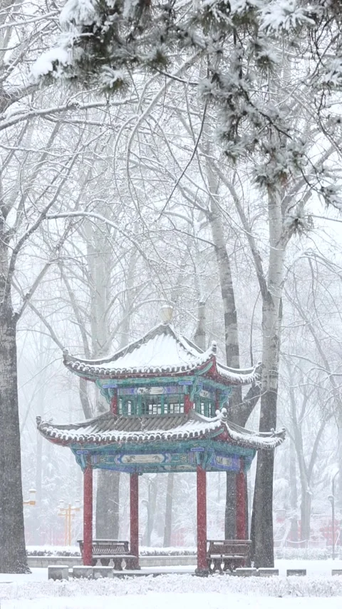A pavilion in the snow Stock-Footage 343622714