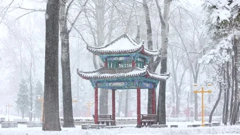 A pavilion in the snow Stock Footage 343622742
